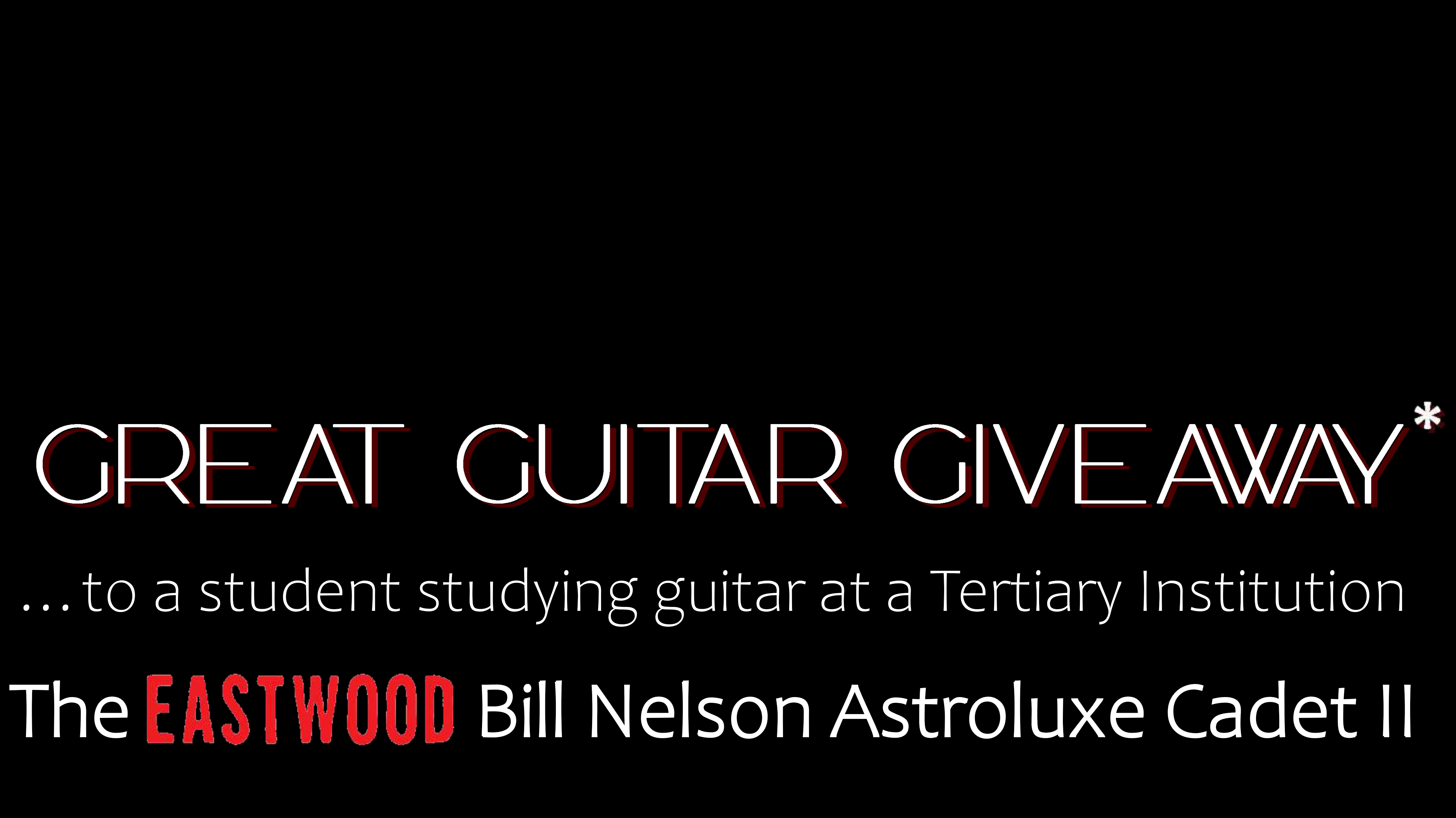 Great Guitar Giveaway FINAL 006